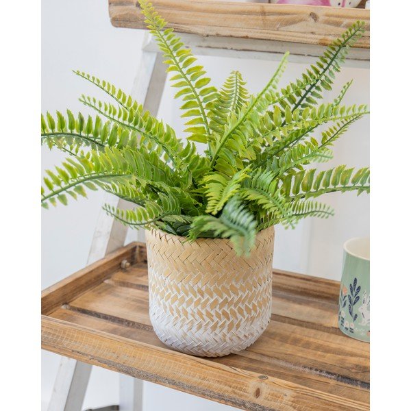 Ghiveci din iarbă de mare Kitchen Craft Ombré-image-1