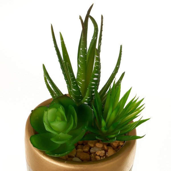 Plante artificiale 4 buc. (înălțime 17 cm) Cactus – Casa Selección-image-2