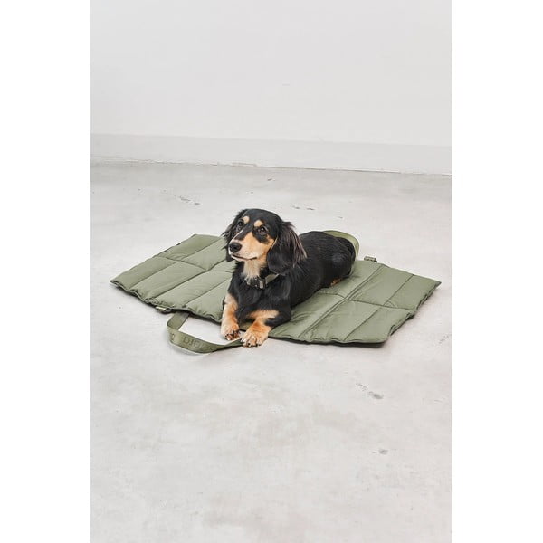 Pat de călătorie verde pentru câini 53x80 cm Strada Grolive S – MiaCara-image-2