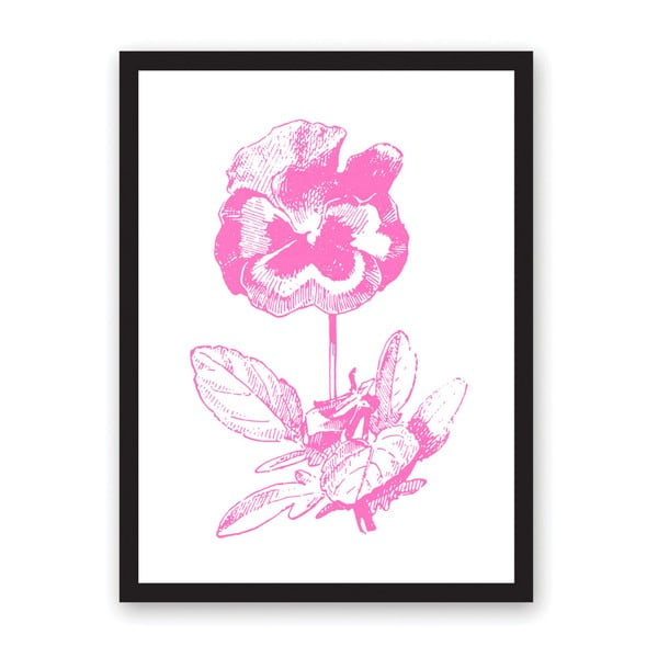 Poster Ohh Deer Pansy, 29,7 x 42 cm