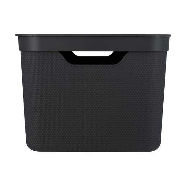 Cutie de depozitare din plastic cu capac Deco  - Rotho-image-2