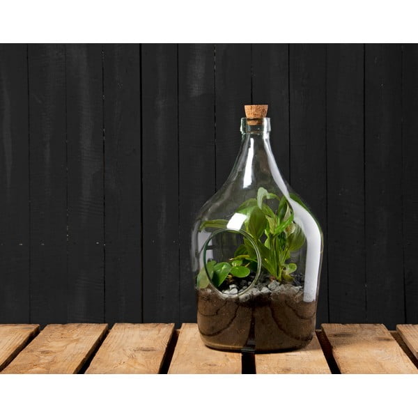 Terariu din sticlă ø 20 cm – Esschert Design-image-1