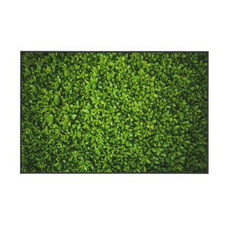 Covor Oyo home Ivy, 140 x 220 cm, verde
