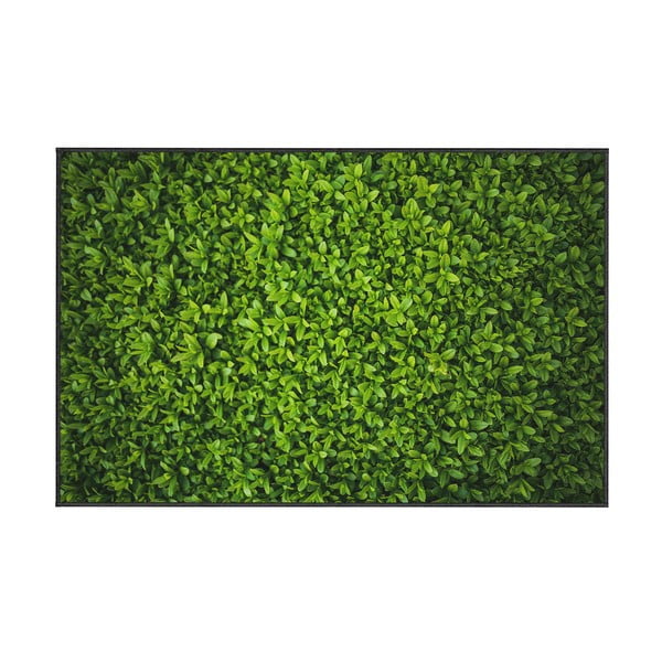 Covor Oyo home Ivy, 80 x 140 cm, verde