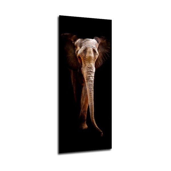 Tablou Styler Elephant, 125 x 50 cm-image-1