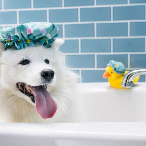 Set cadou Splish Splash 5 buc. – P.L.A.Y.-image-1