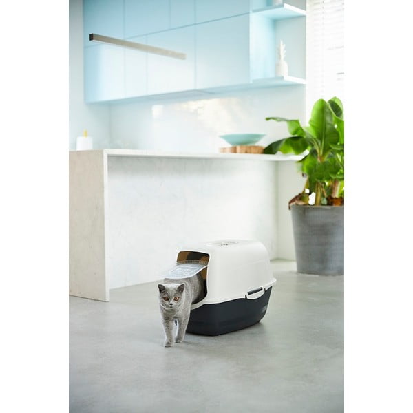 Litieră pentru pisici 56x40 cm Eco Bailey - Rotho-image-1