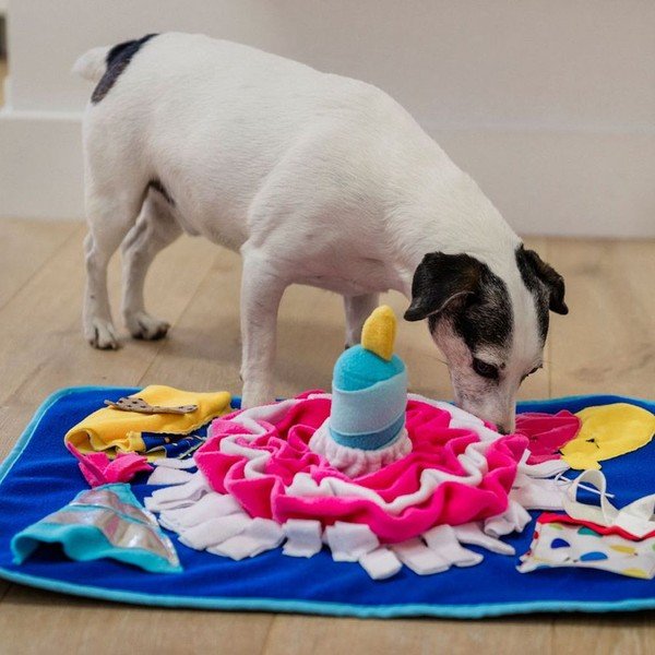 Covoraș interactiv Pawty – P.L.A.Y.-image-1