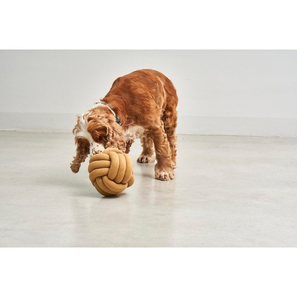 Jucărie pentru câine Tubo Curry – MiaCara-image-1