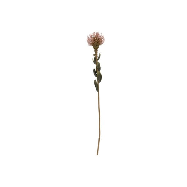 Plantă artificială (înălțime 60 cm) Protea – PT LIVING