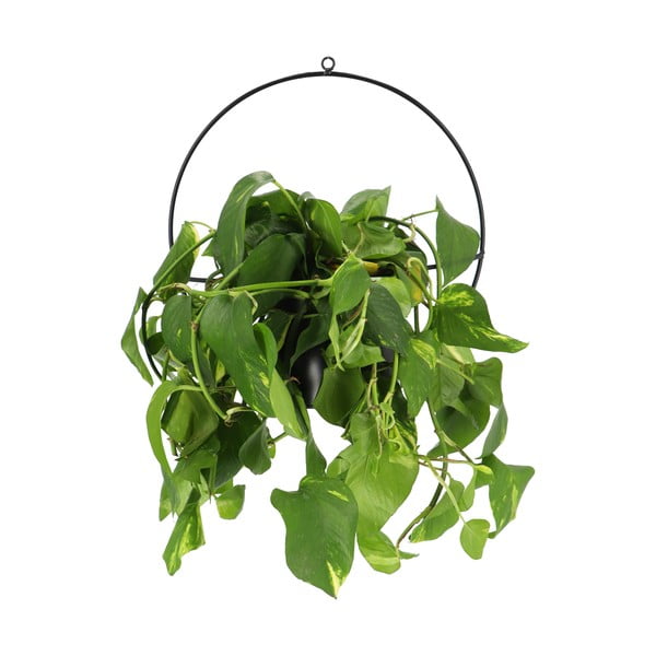 Suport de perete pentru ghiveci Esschert Design Planter, negru-image-1