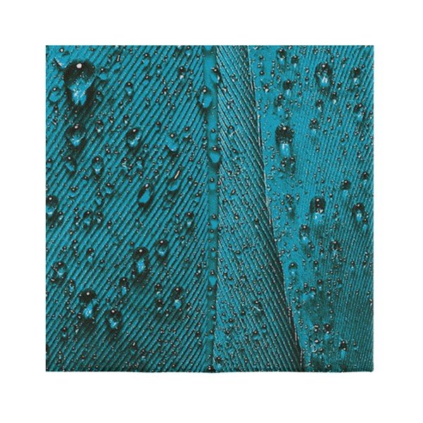 Covor Oyo home Suzzo Malamento, 100 x 150 cm, turcoaz - mov-image-3