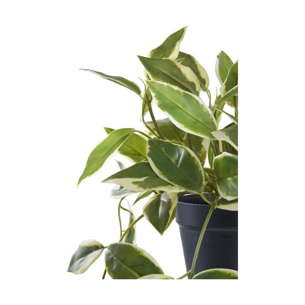 Plantă artificială (înălțime 33 cm) Hoya Carnosa – House Nordic-image-4