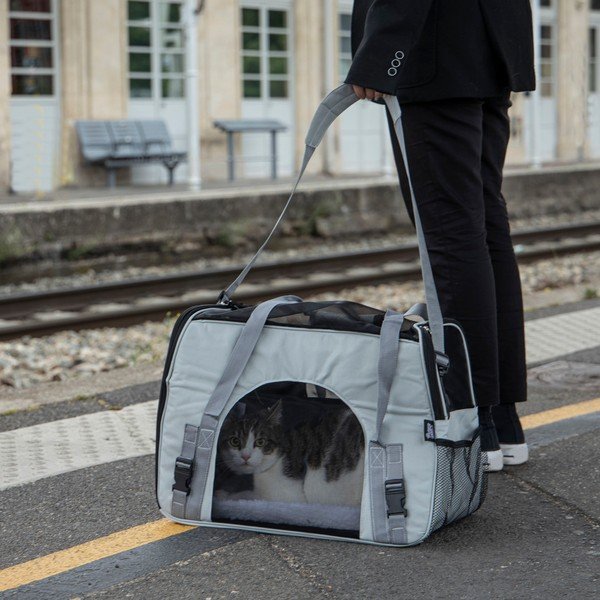 Geantă de transport pentru animale de companie 25,5x48 cm – Love Story-image-1