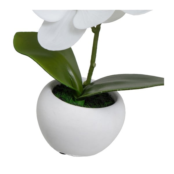 Plante artificiale 3 buc. (înălțime 15 cm) Orchid – Casa Selección-image-2