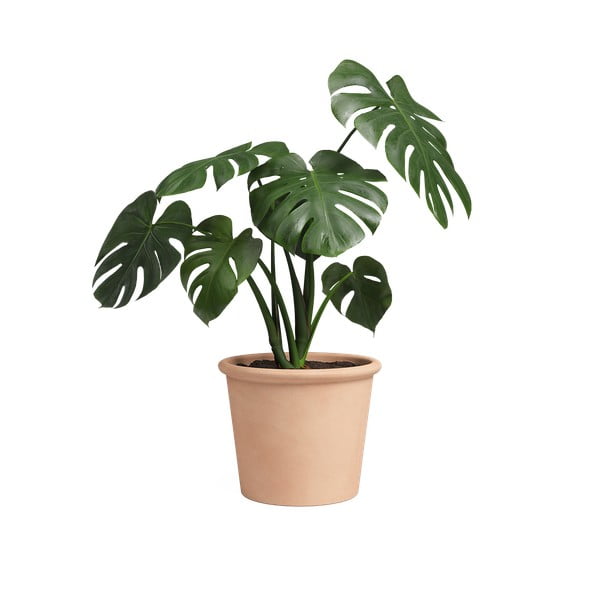 Ghiveci din teracotă ø 39 cm Saramago Cilindro – Artevasi-image-1