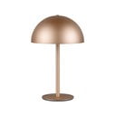 Veioză bronz LED cu abajur din metal (înălțime 21 cm) Munoz – Reality