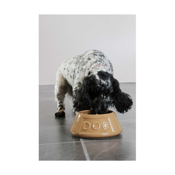 Bol din ceramică pentru câine Mason Cash Pet Cane, ø 21 cm-image-4