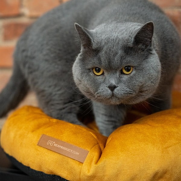 Saltea galbenă pentru câini ø 50 cm Coco S – Rexproduct-image-3