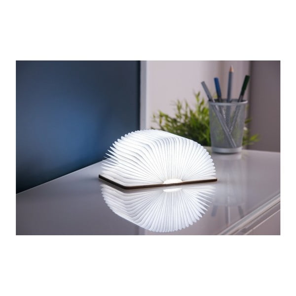 Decorațiune luminoasă în culoare naturală cu USB Booklight – Gingko-image-1