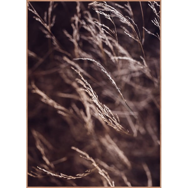 Poster cu ramă 50x70 cm Mellow Grasses 7 – Malerifabrikken