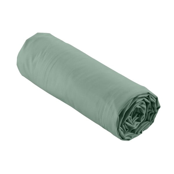 Cearceaf verde din bumbac percal cu elastic 90x190 cm Percaline – douceur d'intérieur-image-4