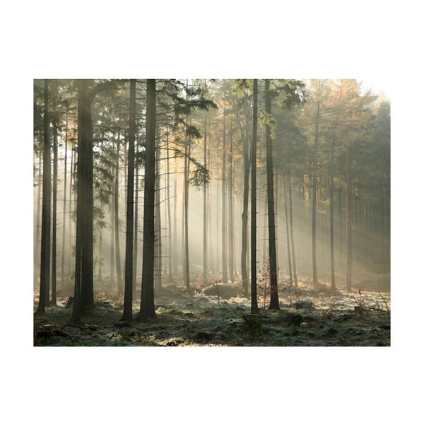 Tapet în format mare Artgeist Foggy November Morning, 200 x 154 cm