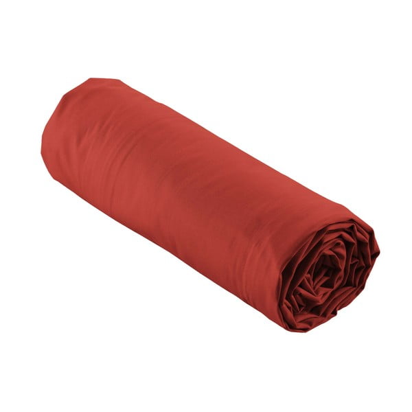 Cearceaf cărămiziu din bumbac percal cu elastic 180x200 cm Percaline – douceur d'intérieur-image-4