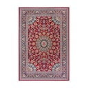 Covor de exterior roșu 160x235 cm Kadi – Hanse Home