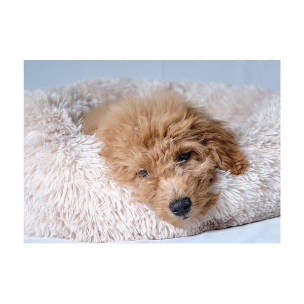 Pat pentru animale de companie crem pentru câini ø 55 cm – Love Story-image-3