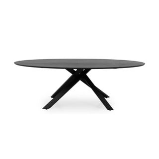 Masă dining cu aspect de lemn de de frasin 240x120 cm Cox - Tenzo