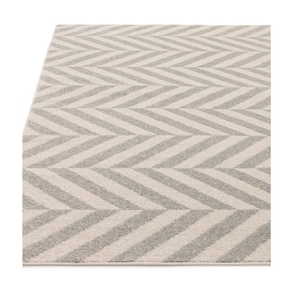 Covor gri deschis 120x170 cm Muse – Asiatic Carpets-image-3