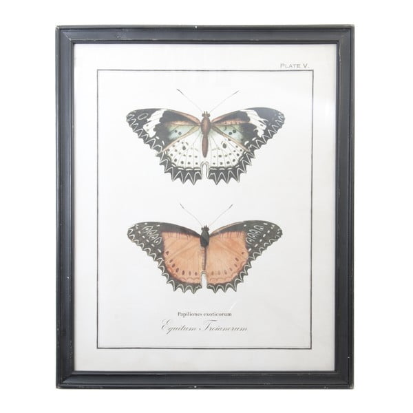 Tablou Clayre & Eef Cutterflies, 65 x 80 cm