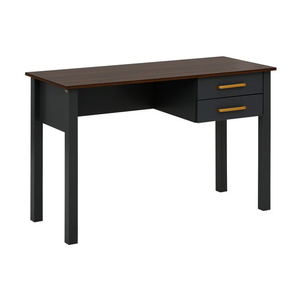 Birou 50x120 cm Marion - Støraa-image-1