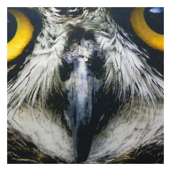 Pernă Owl 60x40 cm-image-1