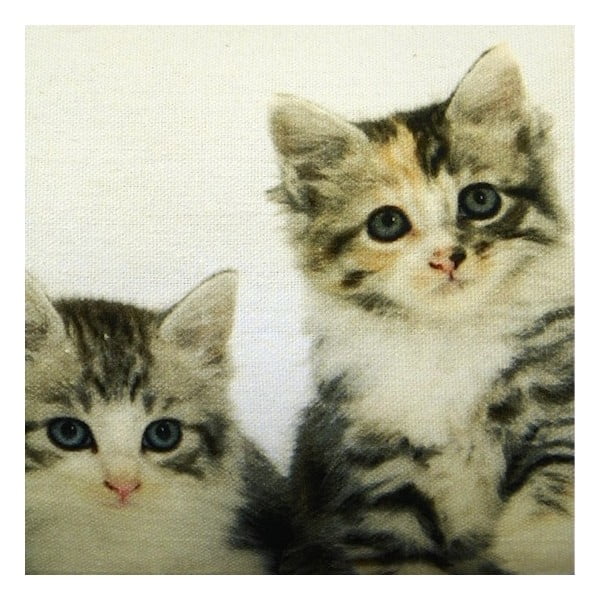 Pernă Kittens 20x90 cm-image-1