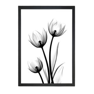 Poster 23x28 cm Scented Flowery - Tablo Center