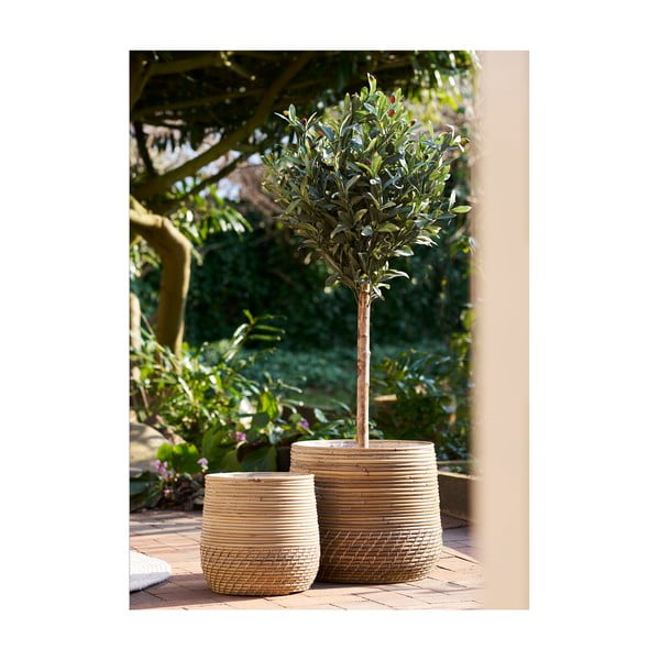 Coșuri de depozitare 2 buc. din ratan ø 39x35 cm Moro – House Nordic-image-1