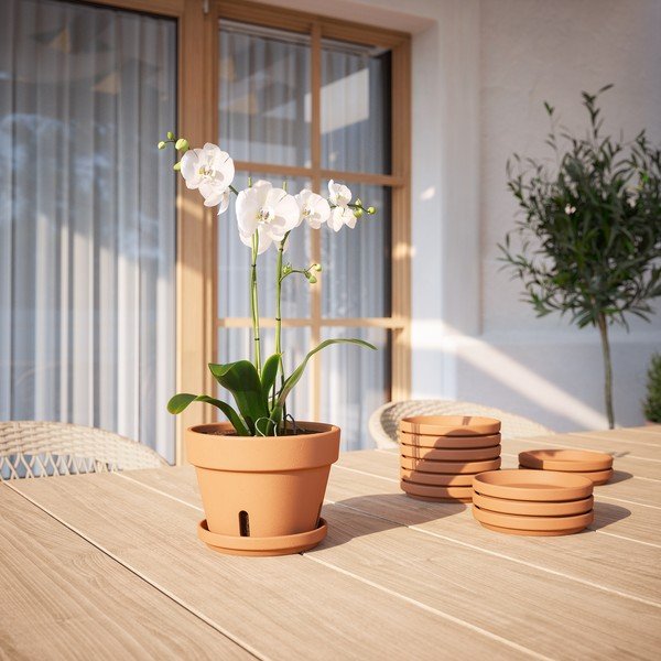 Farfurie pentru ghiveci din teracotă ø 17 cm – Artevasi-image-1