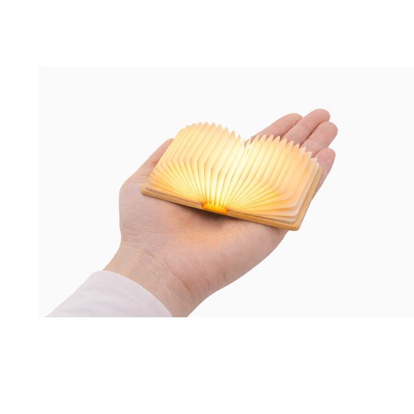 Decorațiune luminoasă în culoare naturală portabilă cu USB BookLight – Gingko-image-3