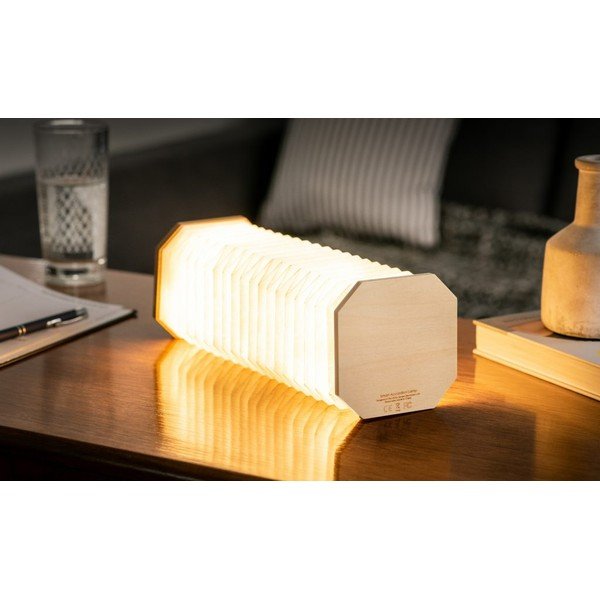 Decorațiune luminoasă în culoare naturală cu USB Accordion – Gingko-image-4