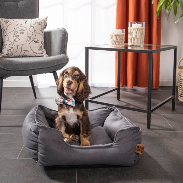 Pat pentru animale de companie albastru pentru câini 50x55 cm – Love Story-image-3