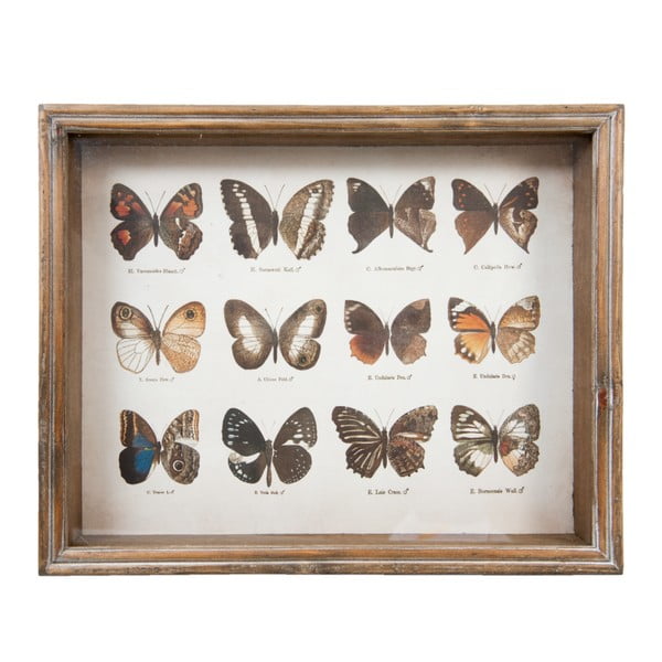Tablou Clayre & Eef Butterflies Collection, 35 x 28 cm