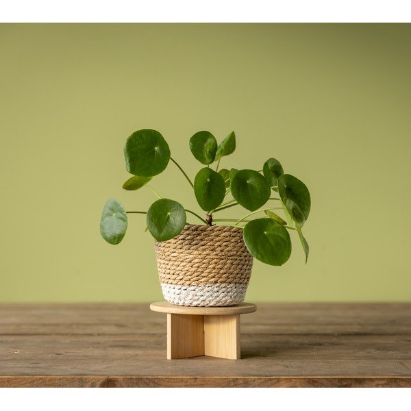 Suport pentru flori din bambus ø 18 cm – Esschert Design-image-3