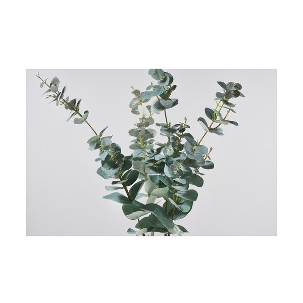 Plantă artificială Eucalipt (înălțime 71 cm) Kvist – Villa Collection-image-1