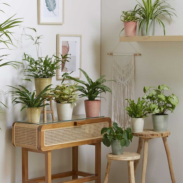 Ghiveci din ceramică ø 19 cm Canberra Effekt - Big pots-image-1