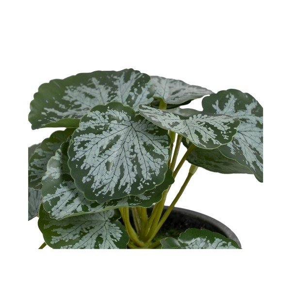 Plantă artificială (înălțime 21,5 cm) Saxifraga – Ixia-image-1