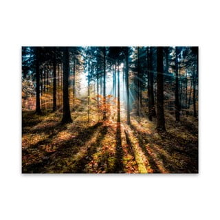 Tablou Styler Glasspik Autumn Sunset, 70 x 100 cm