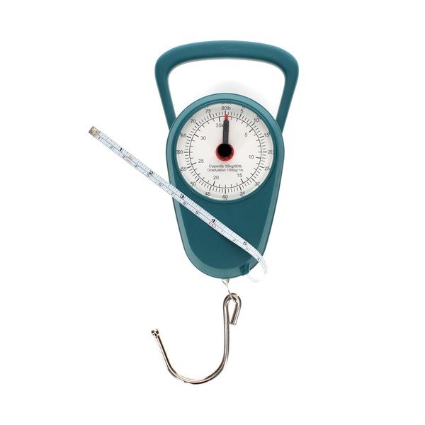 Cântar pentru genți de călătorie – Rex London-image-3