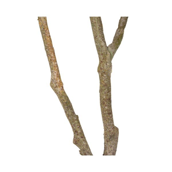 Plantă artificială (înălțime 116 cm) Oak Tree – Ixia-image-4